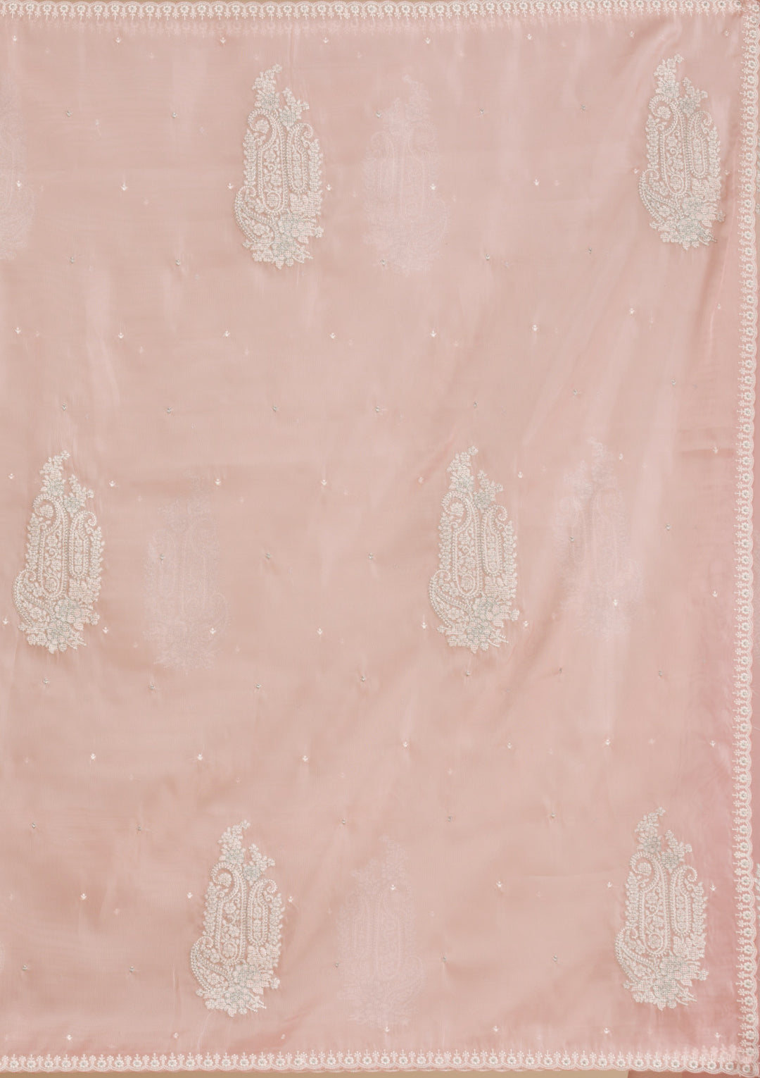 Peach Threadwork Tissue Saree