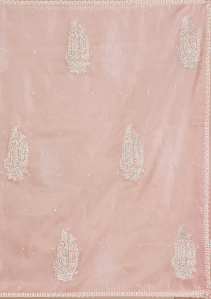 Peach Threadwork Tissue Saree