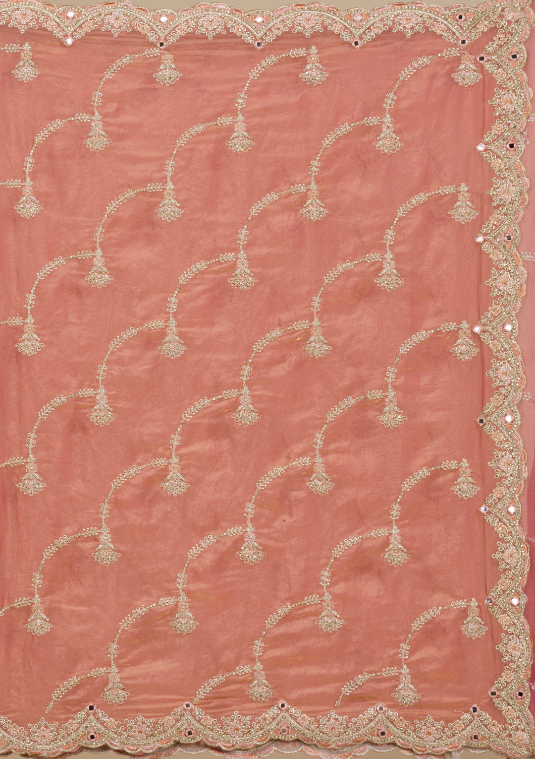 Peach Zariwork Tissue Saree