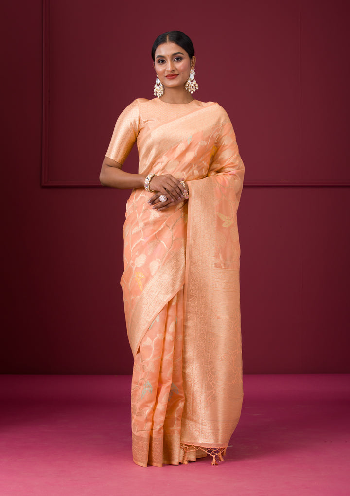 Peach Zariwork Tissue Saree