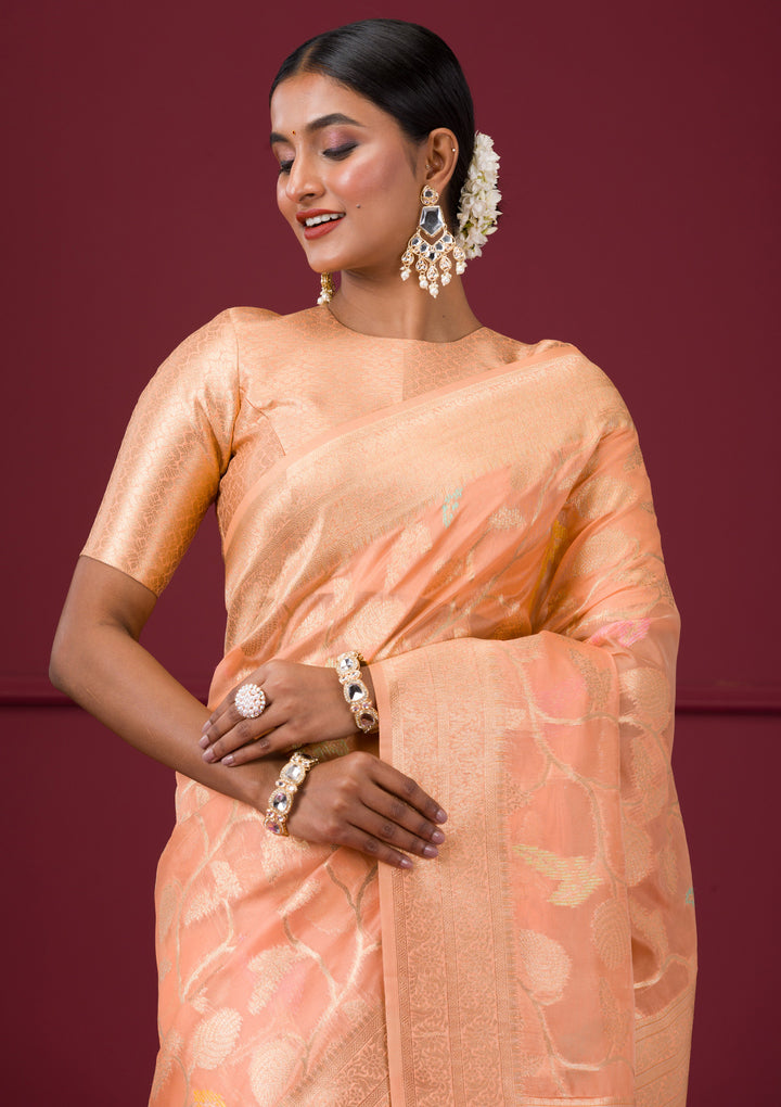 Peach Zariwork Tissue Saree