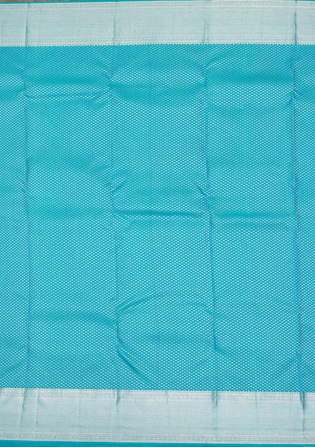 Sky Blue Zariwork Pure Silk Saree