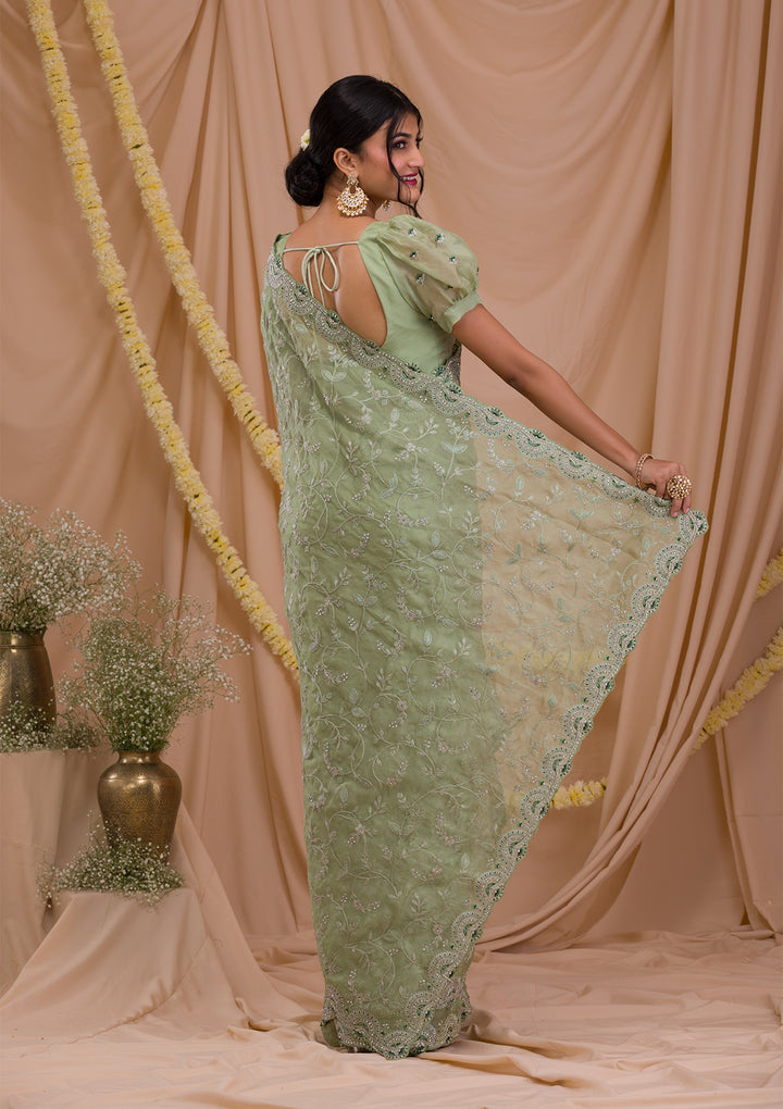Pista Green Stonework Net Saree