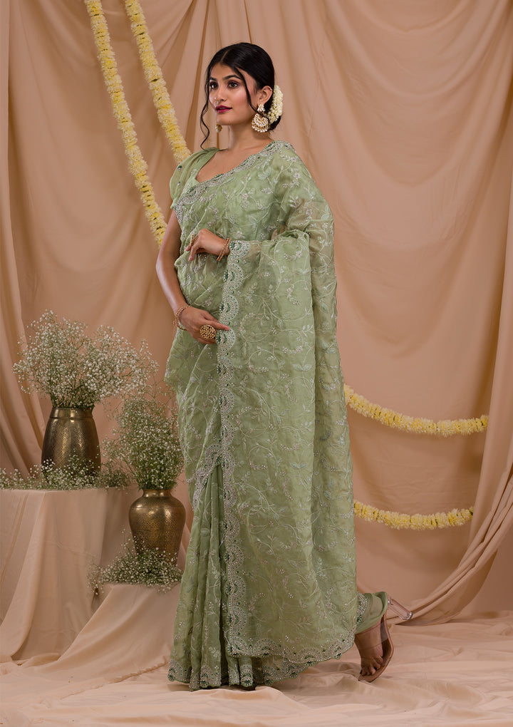 Pista Green Stonework Net Saree