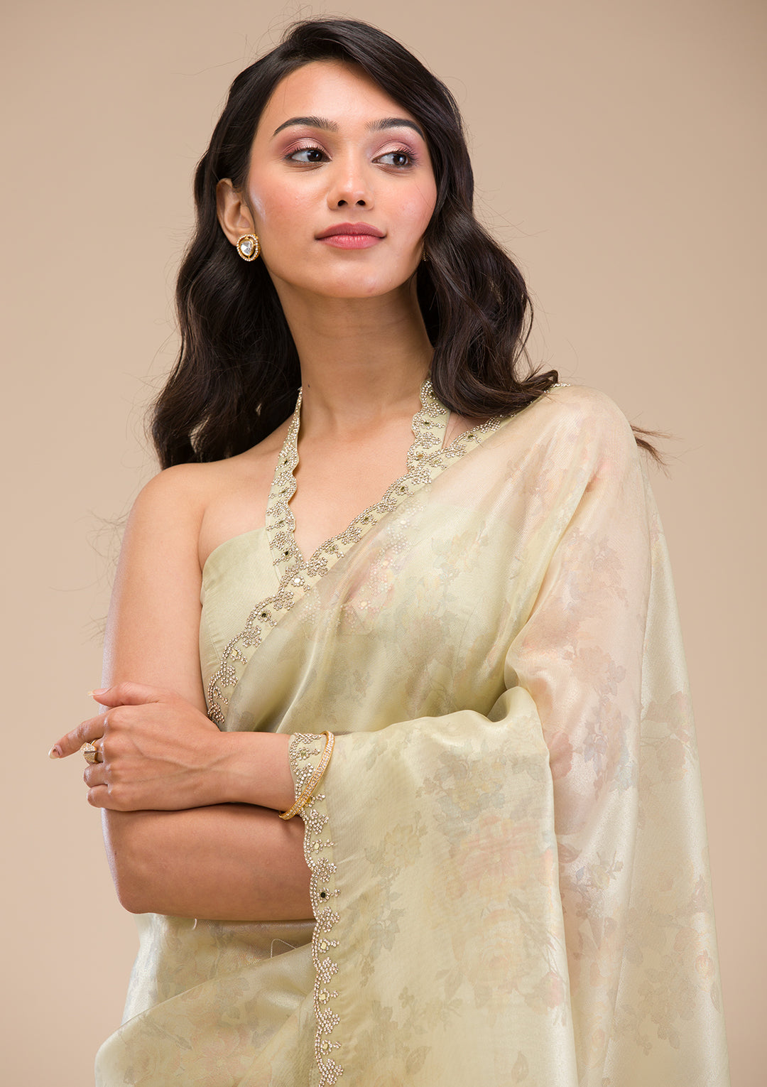 Pista Green Stonework Tissue Saree