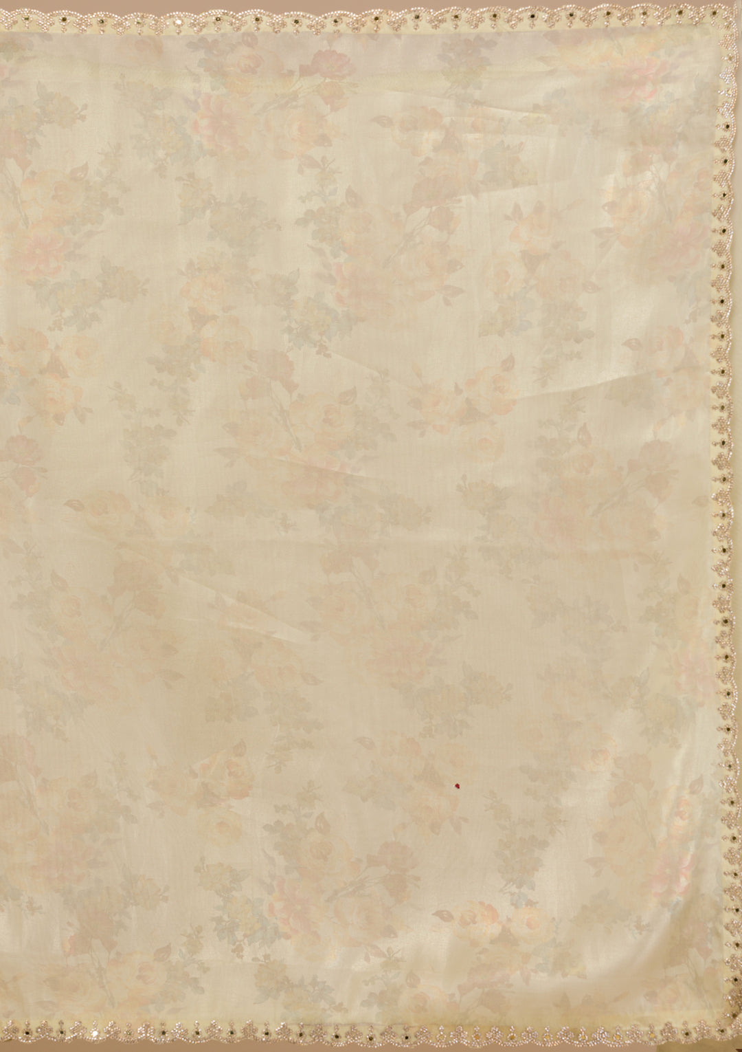 Pista Green Stonework Tissue Saree