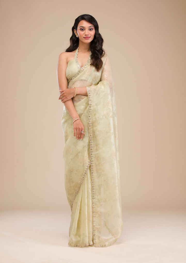 Pista Green Stonework Tissue Saree
