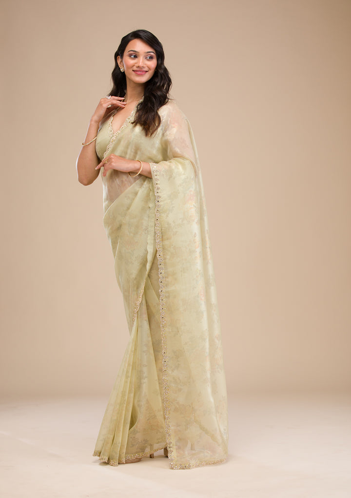 Pista Green Stonework Tissue Saree