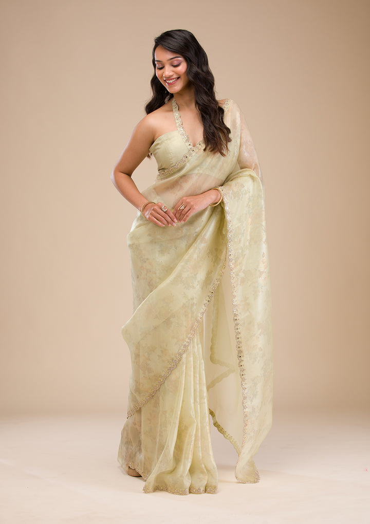 Pista Green Stonework Tissue Saree