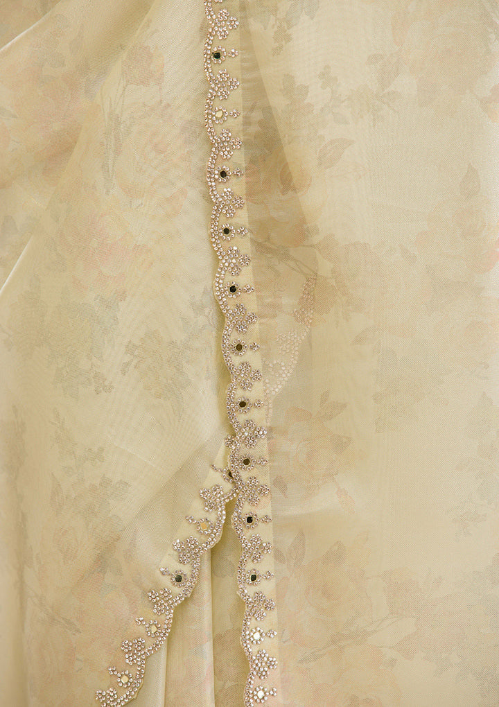 Pista Green Stonework Tissue Saree