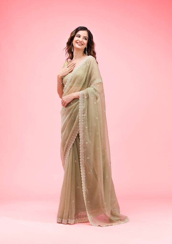 Pista Green Threadwork Chiffon Saree
