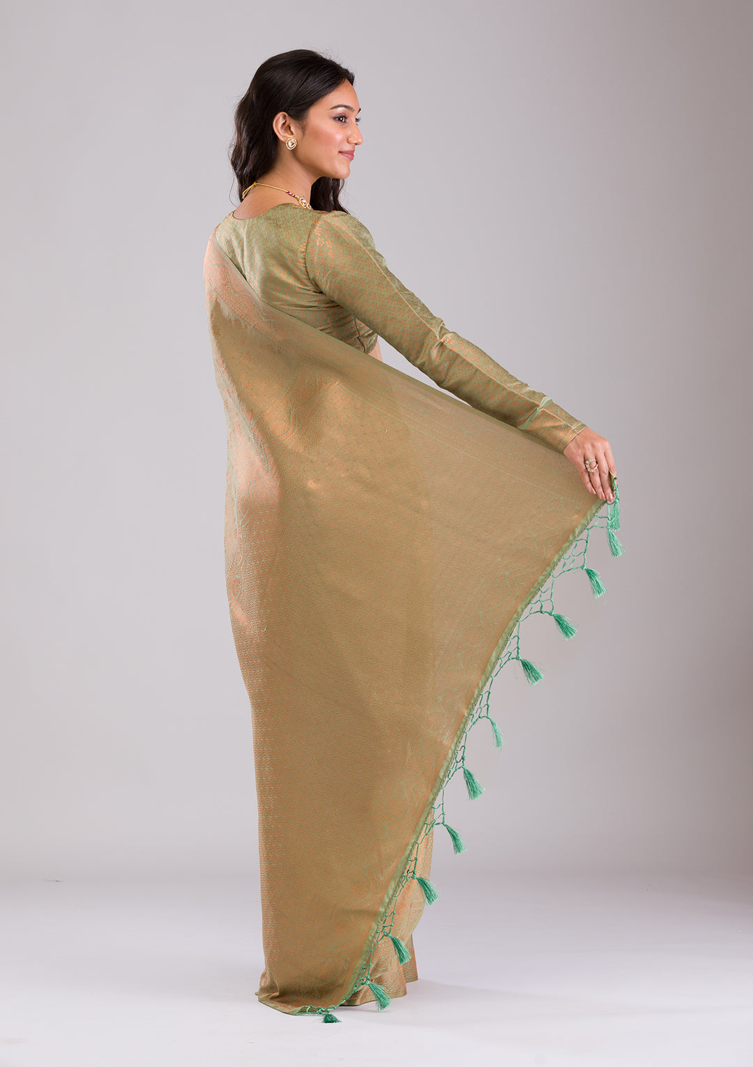 Pista Green Zariwork Soft Silk Saree