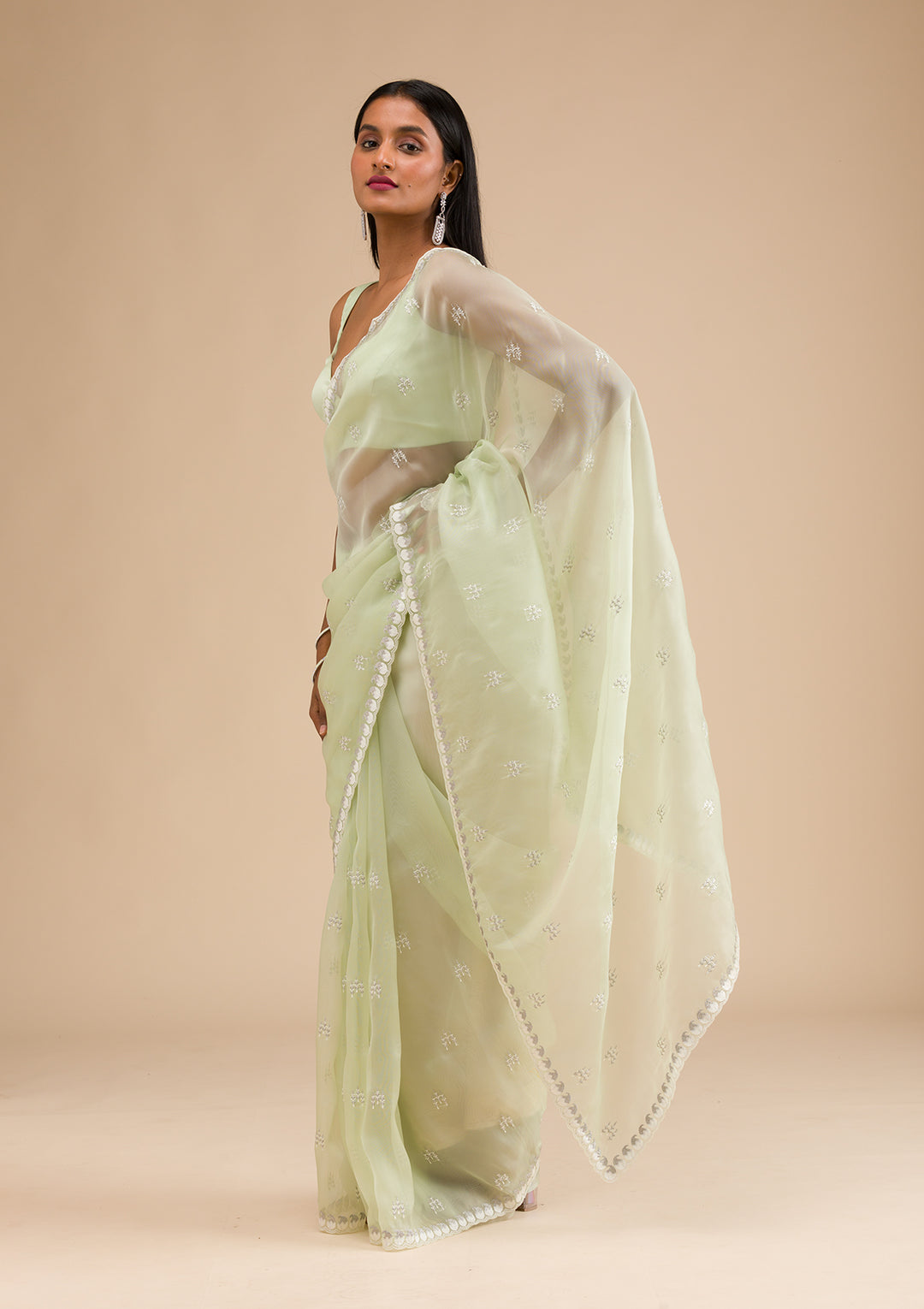 Pista Green Zariwork Tissue Saree