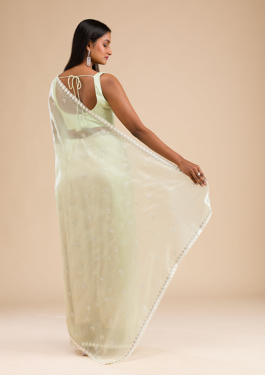 Pista Green Zariwork Tissue Saree