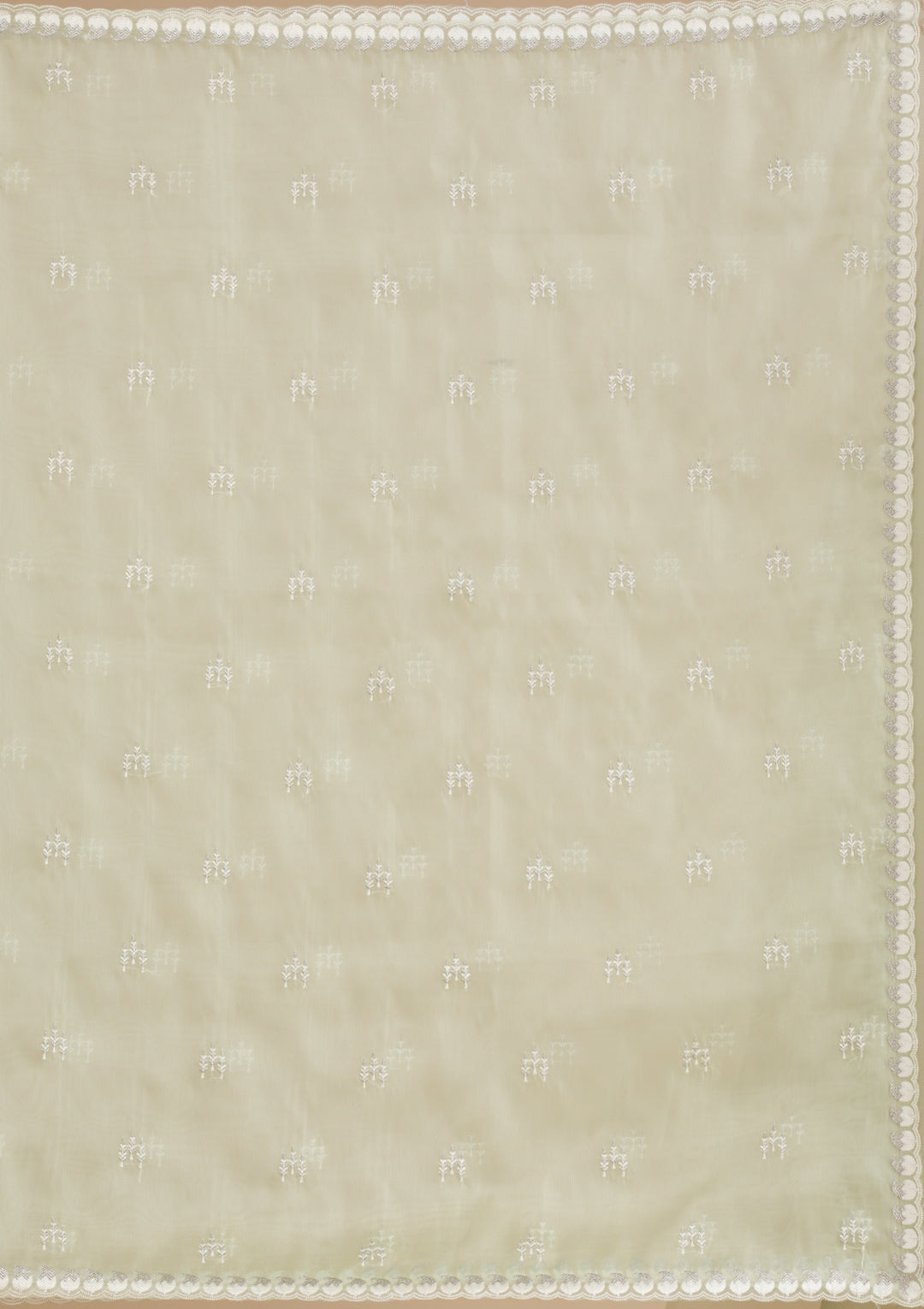 Pista Green Zariwork Tissue Saree
