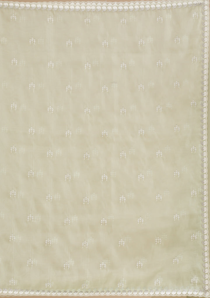 Pista Green Zariwork Tissue Saree