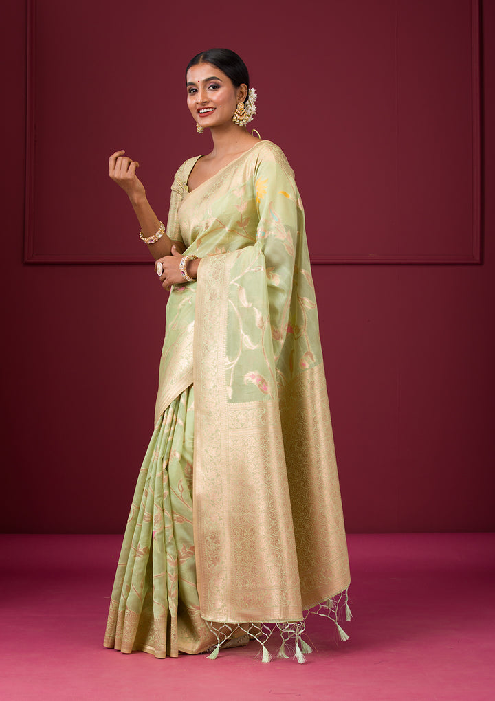 Pista Green Zariwork Tissue Saree