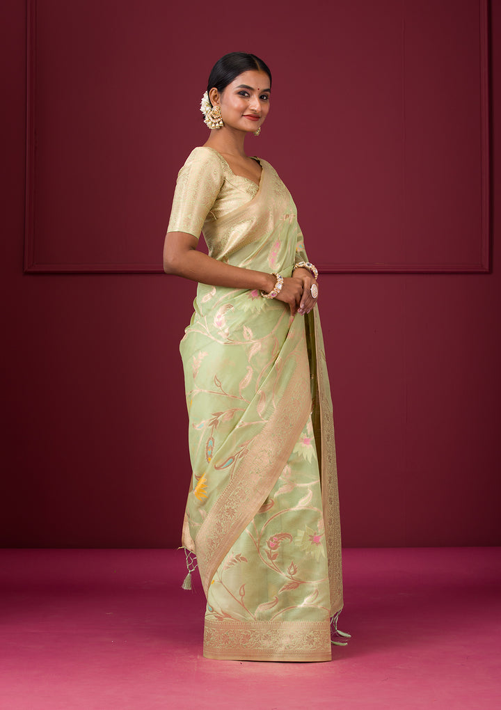 Pista Green Zariwork Tissue Saree
