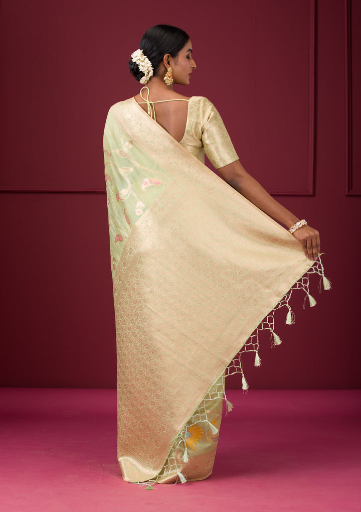 Pista Green Zariwork Tissue Saree