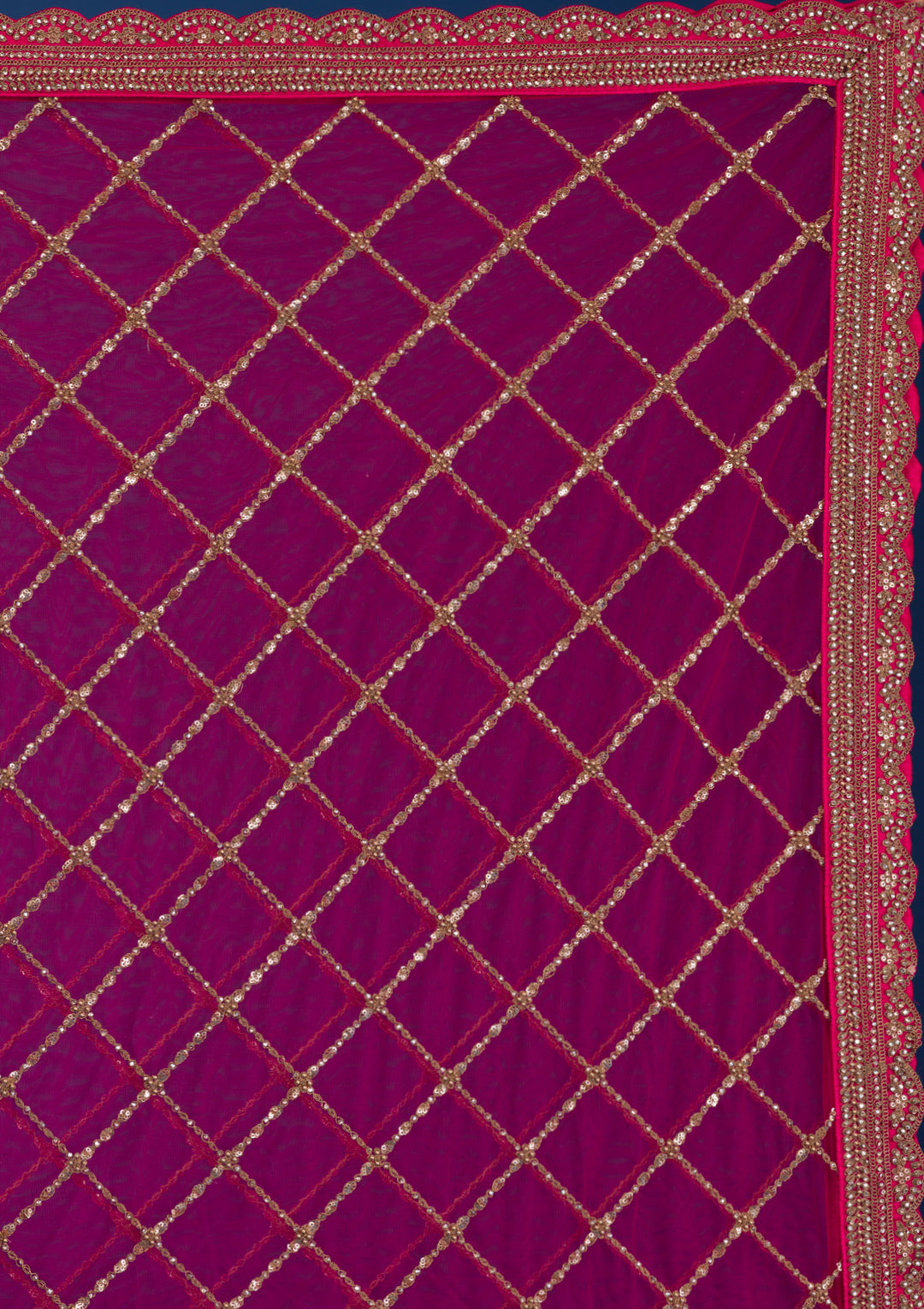 Rani Pink Zariwork Net Readymade Lehenga