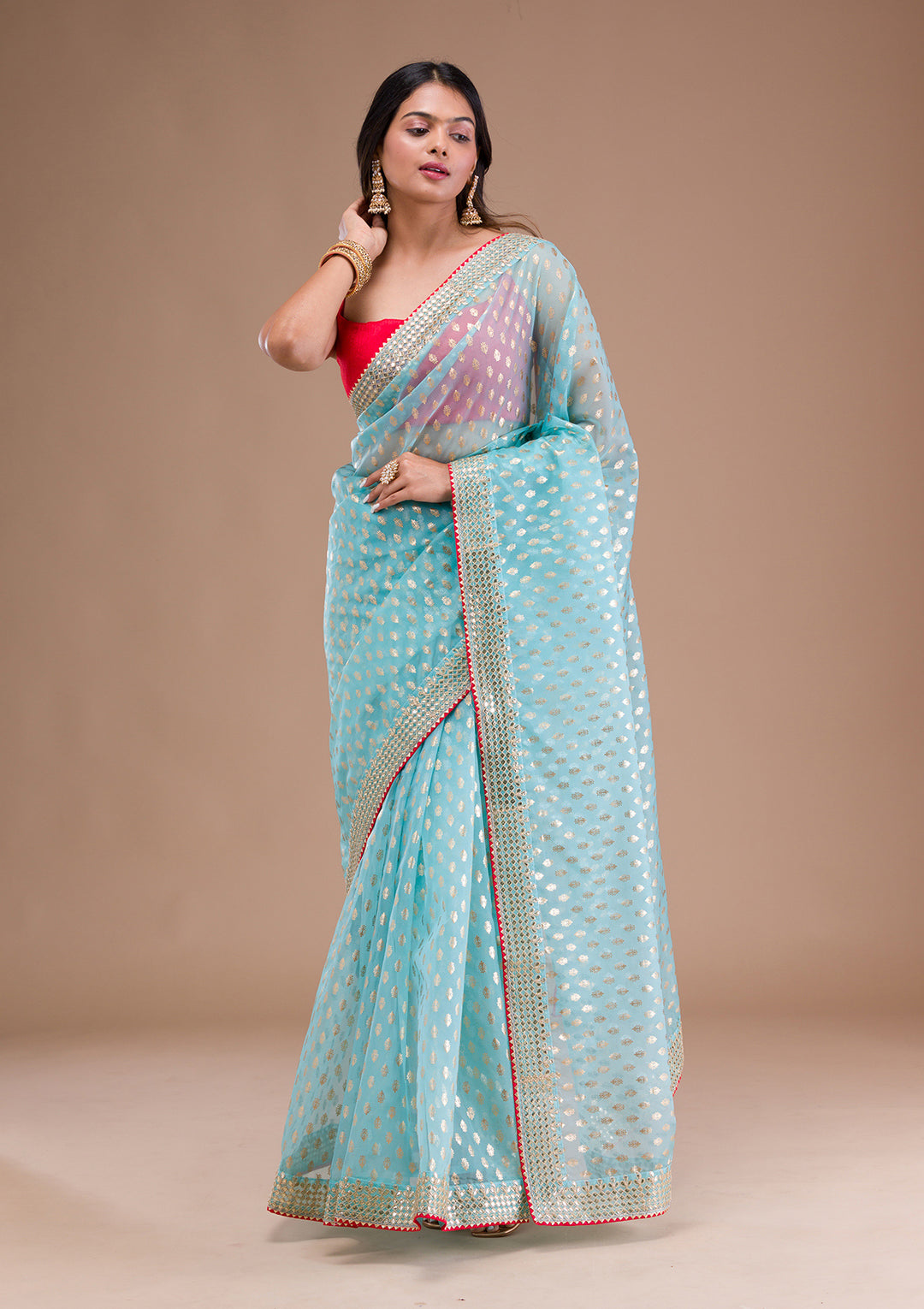 Sky Blue Gottapati Tissue Saree