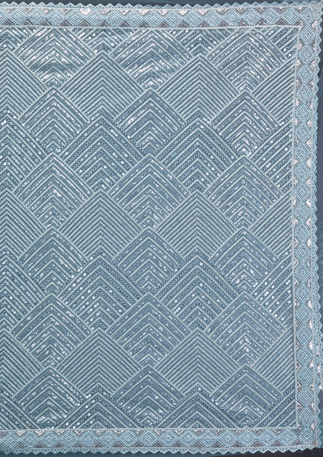 Sky Blue Threadwork Net Saree