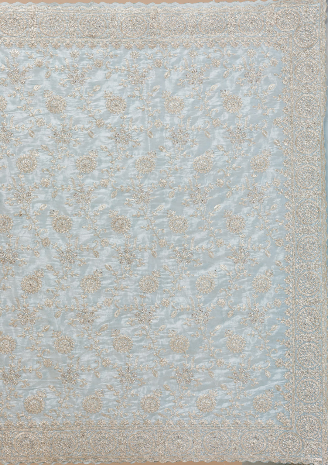 Sky Blue Zariwork Organza Saree