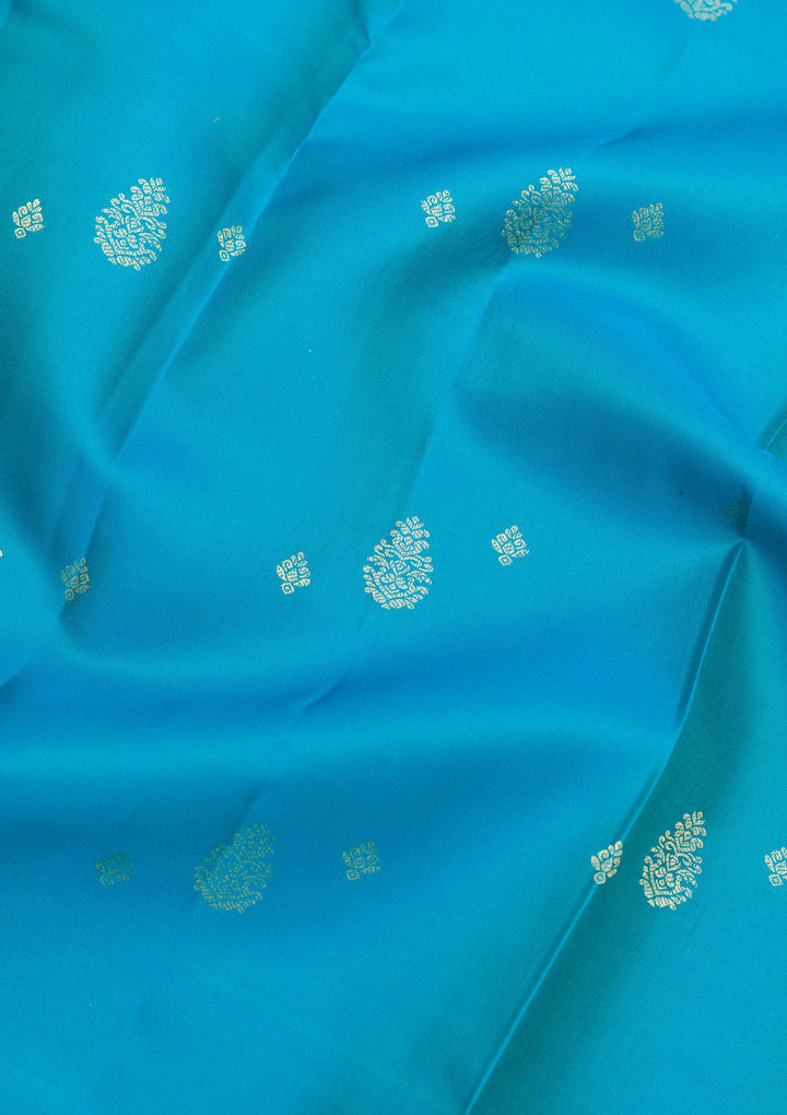 Sky Blue Zariwork Pure Silk Saree