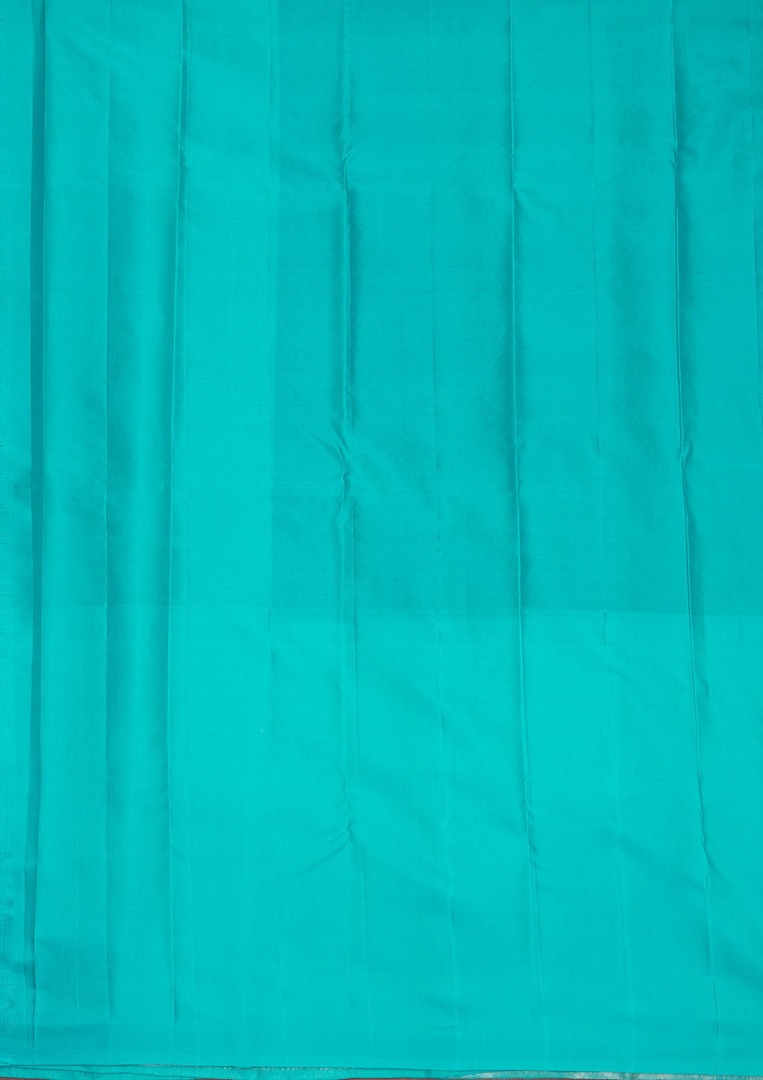 Sky Blue Zariwork Pure Silk Saree