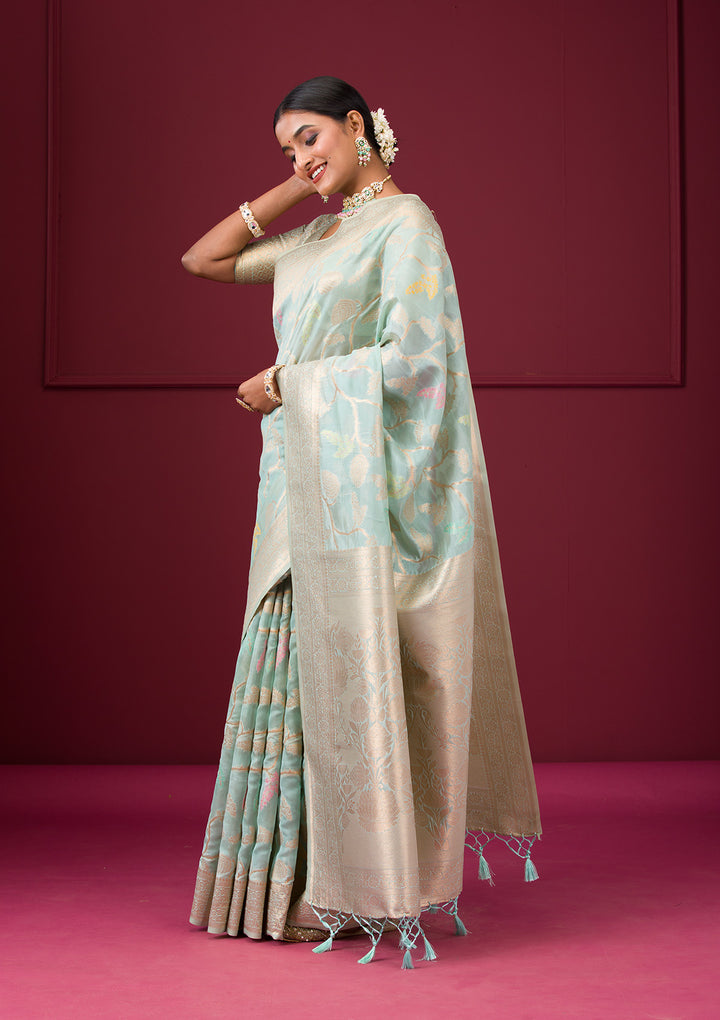 Sky Blue Zariwork Tissue Saree