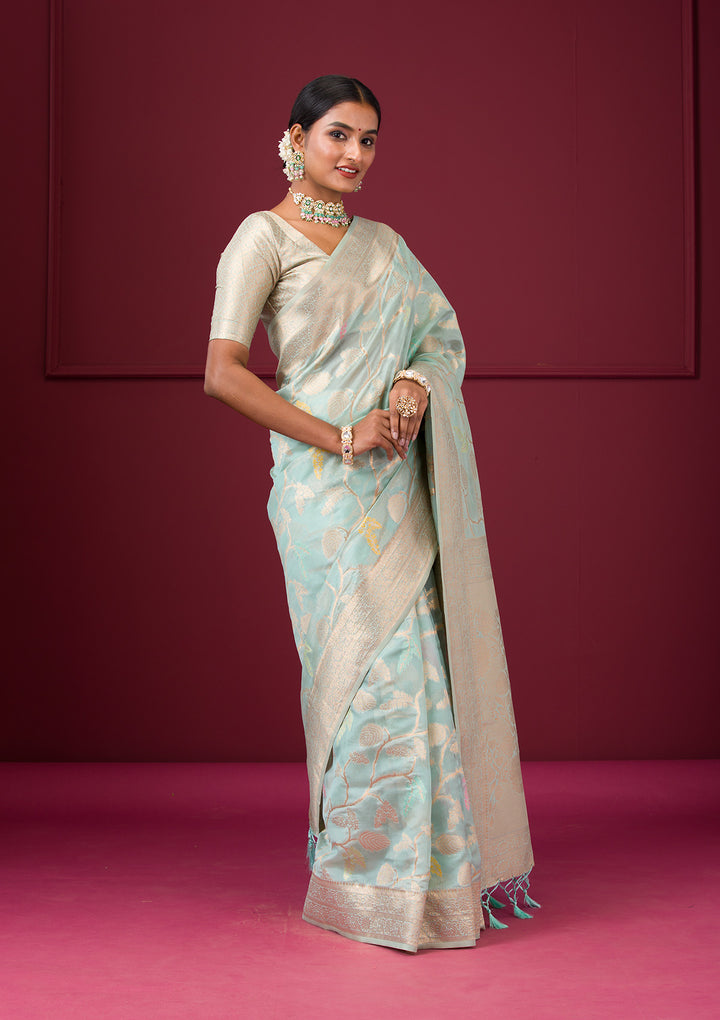Sky Blue Zariwork Tissue Saree
