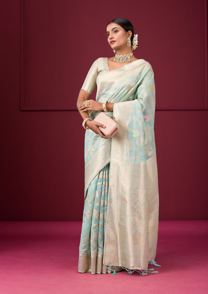 Sky Blue Zariwork Tissue Saree