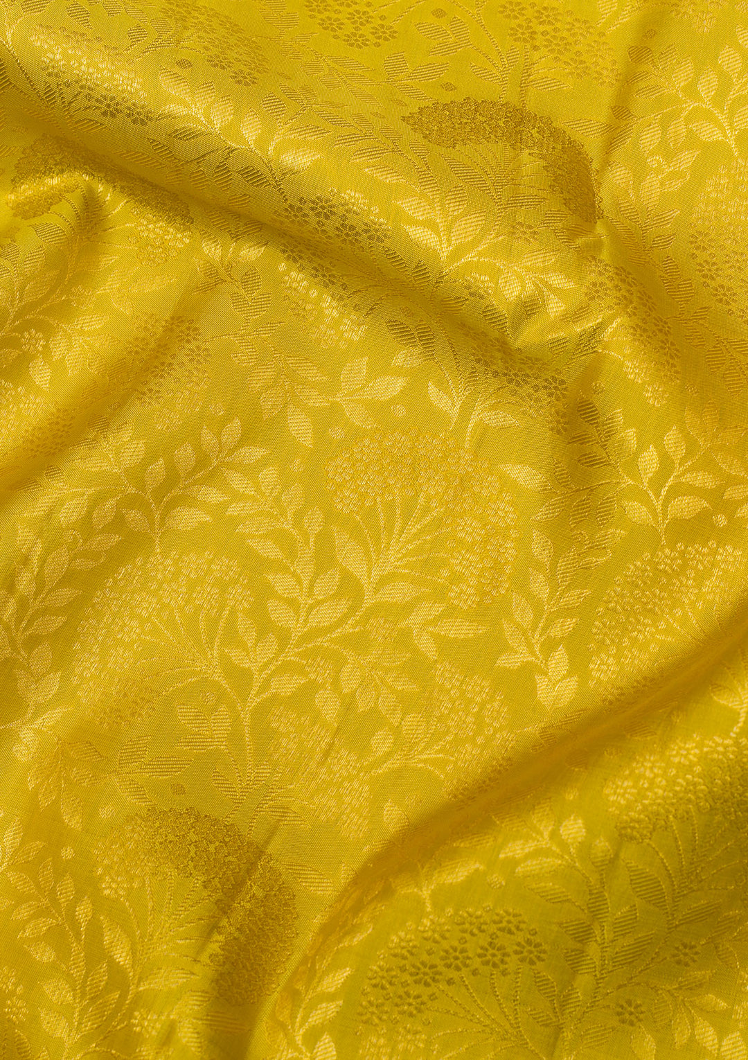 Yellow Gold Zariwork Pure Silk Saree