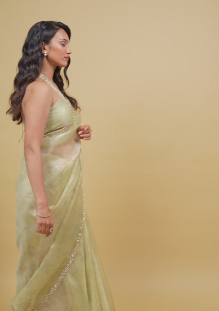 Pista Green Stonework Tissue Saree
