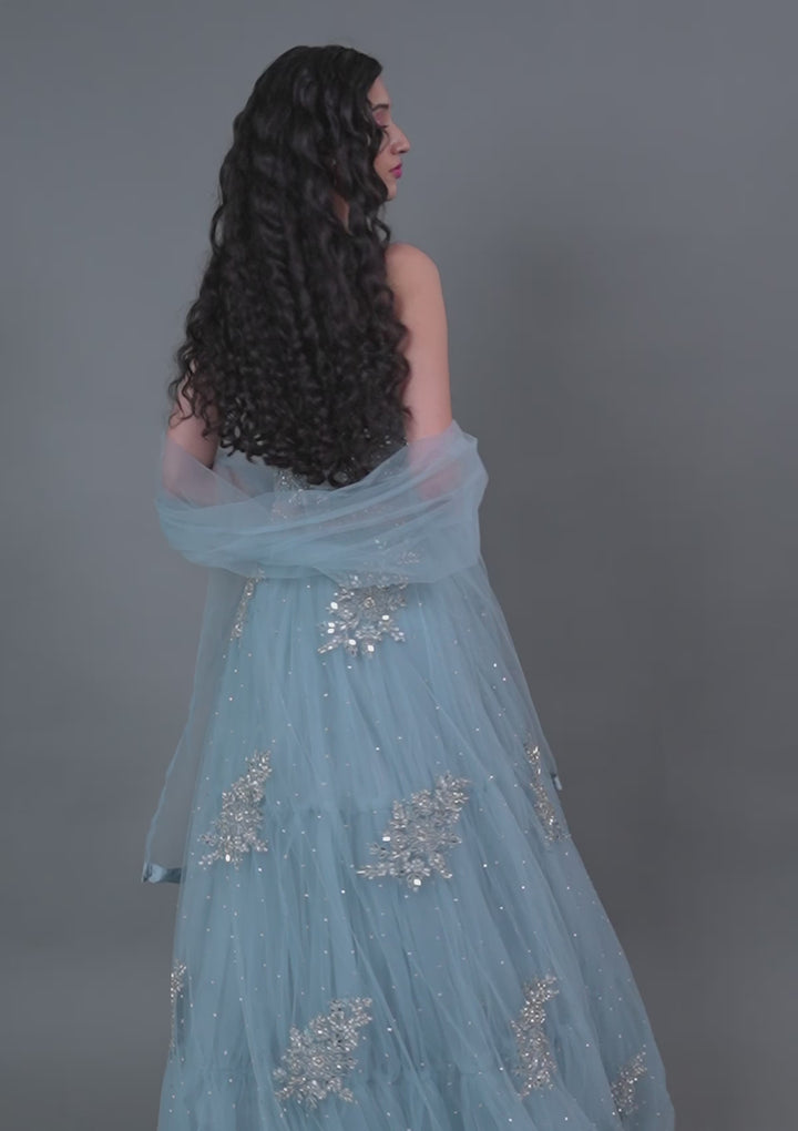 Light Grey Mirrorwork Net Gown