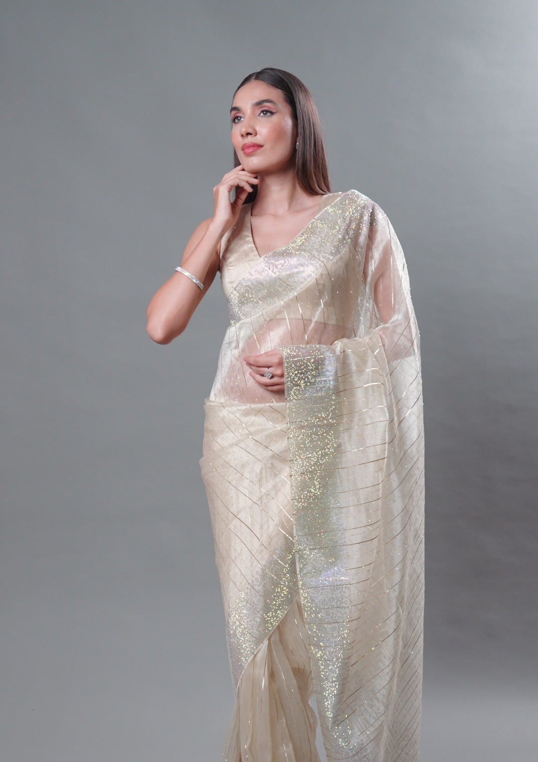 Beige Stonework Tissue Saree
