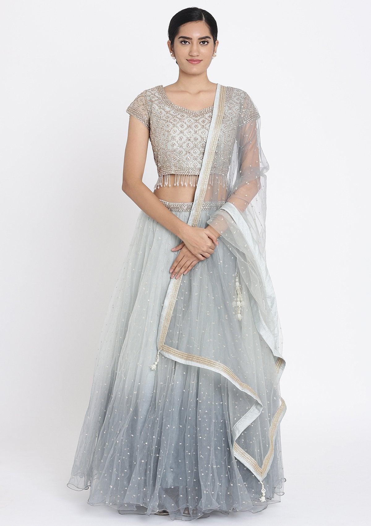 Light Grey Stonework Net Designer Lehenga - koskii