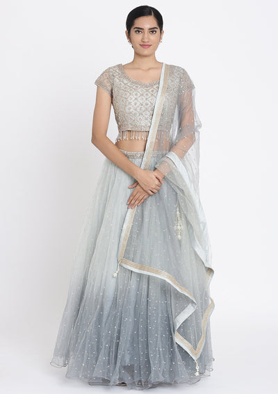 Light Grey Stonework Net Designer Lehenga - koskii