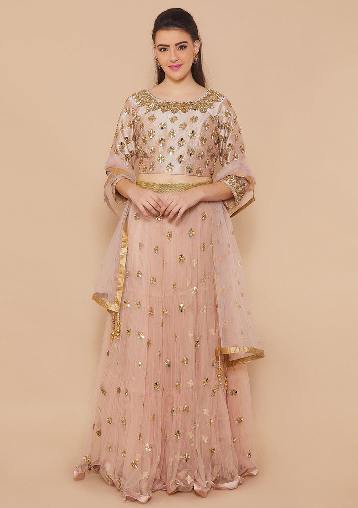 Dusty Rose Mirrorwork Net Designer Lehenga-Koskii