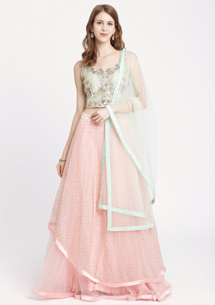 Pink Stonework Net Designer Lehenga-Koskii