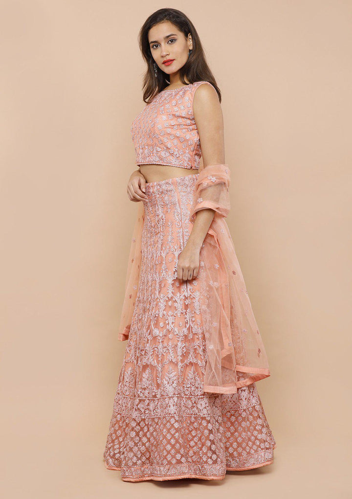 Peach Threadwork Net Designer Lehenga-Koskii