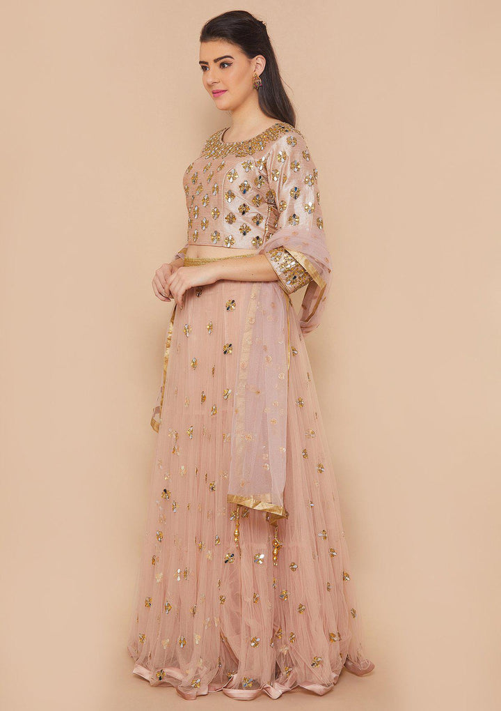 Dusty Rose Mirrorwork Net Designer Lehenga-Koskii