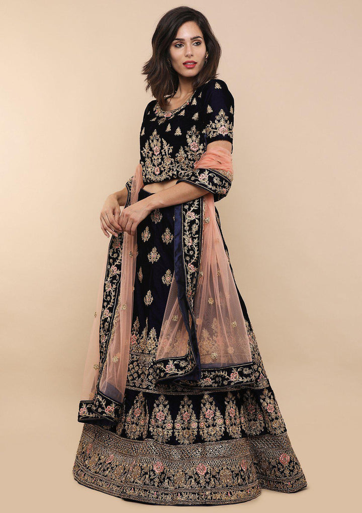 Blue and Pink Velvet Designer Lehenga-Koskii
