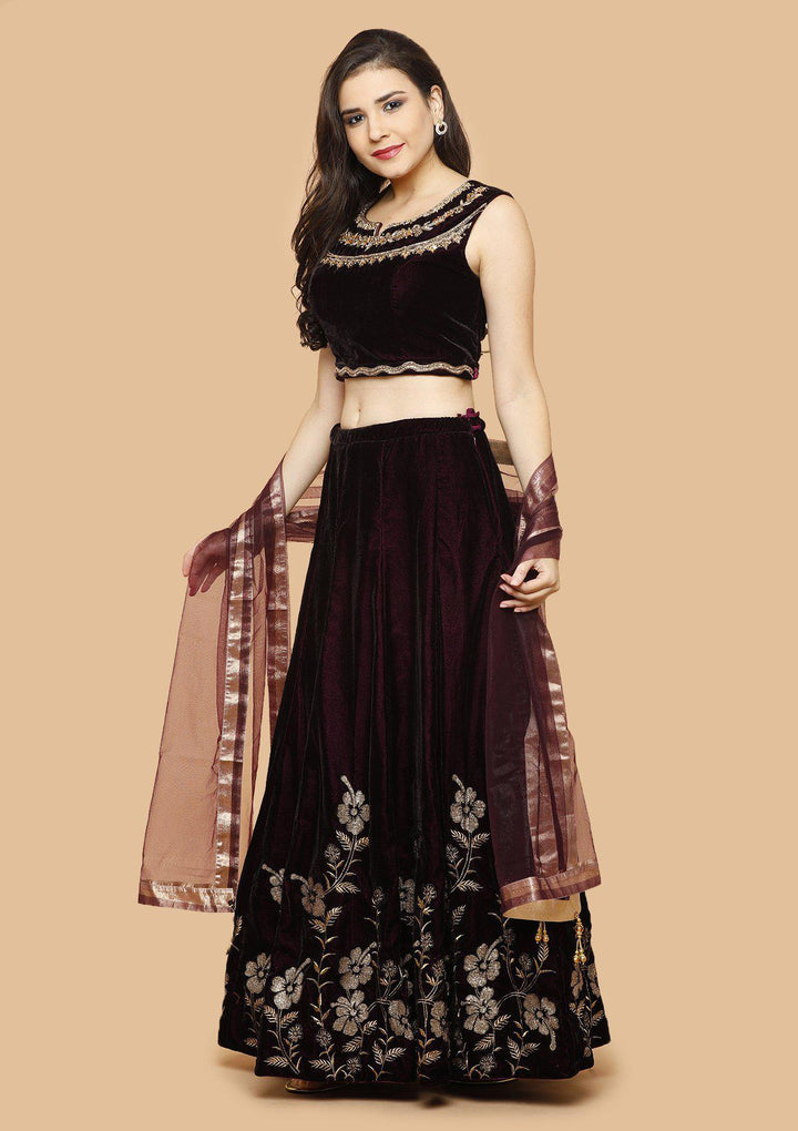 Wine and Maroon Embellished Velvet Designer Lehenga-Koskii