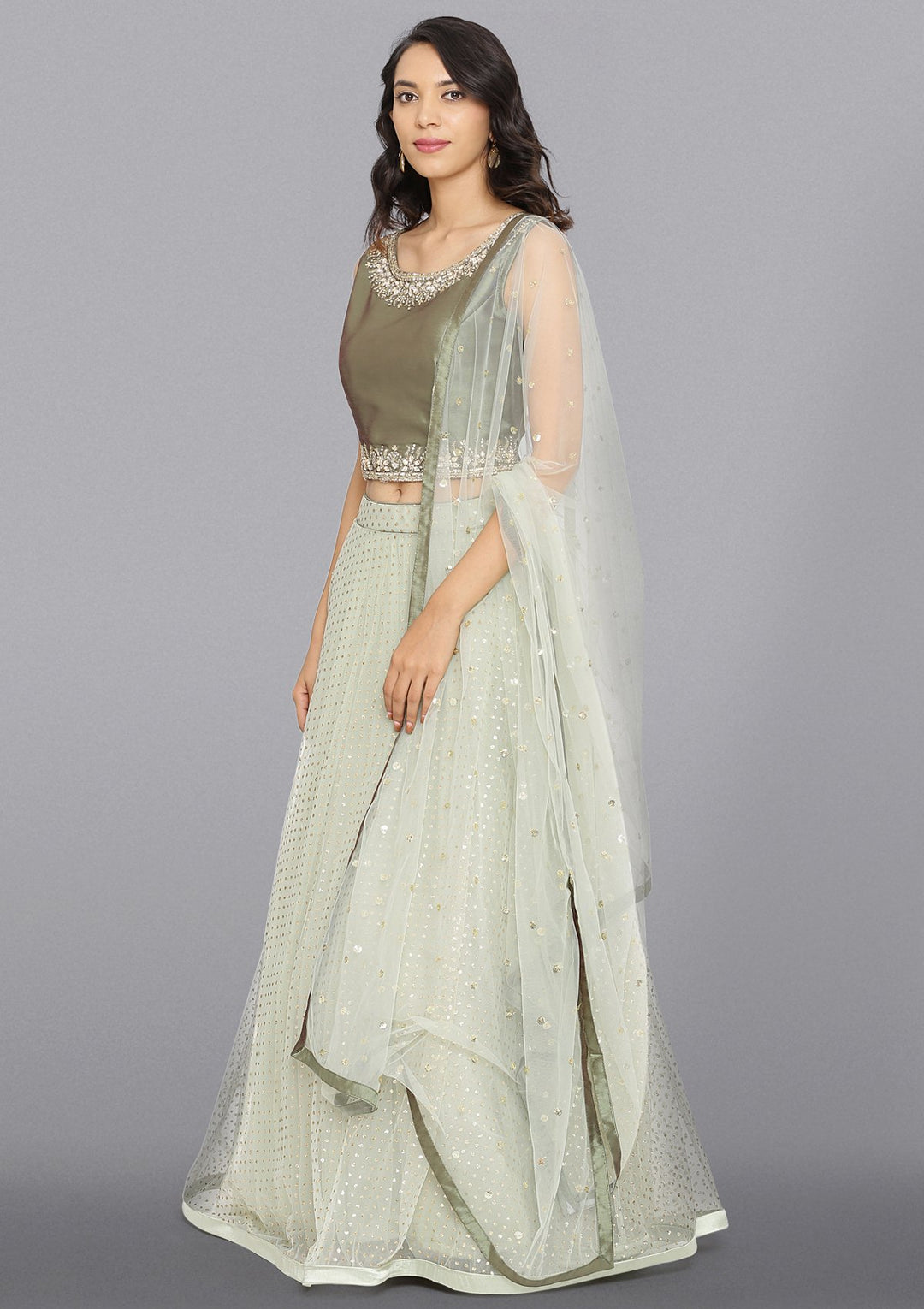 Pista Green Stonework Net Designer Lehenga-Koskii