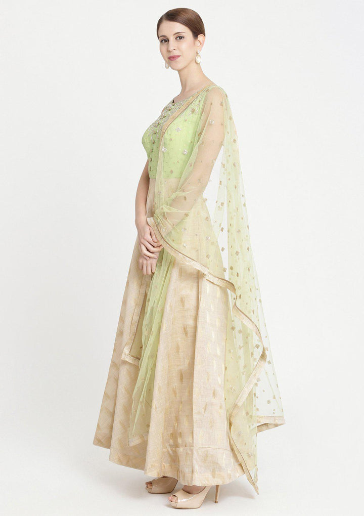 Pista Green Cutdana Raw Silk Designer Gown-Koskii