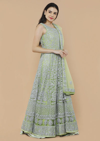 Green and Silver Net Designer Gown-Koskii