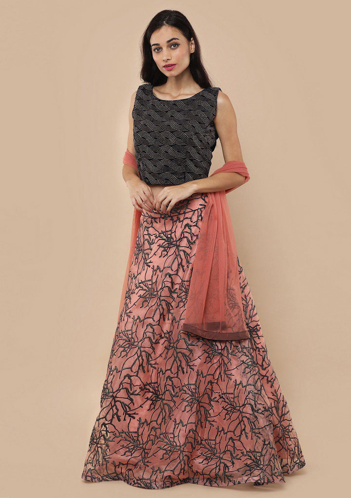 Pink Zari Work Velvet Net Lehenga-Koskii