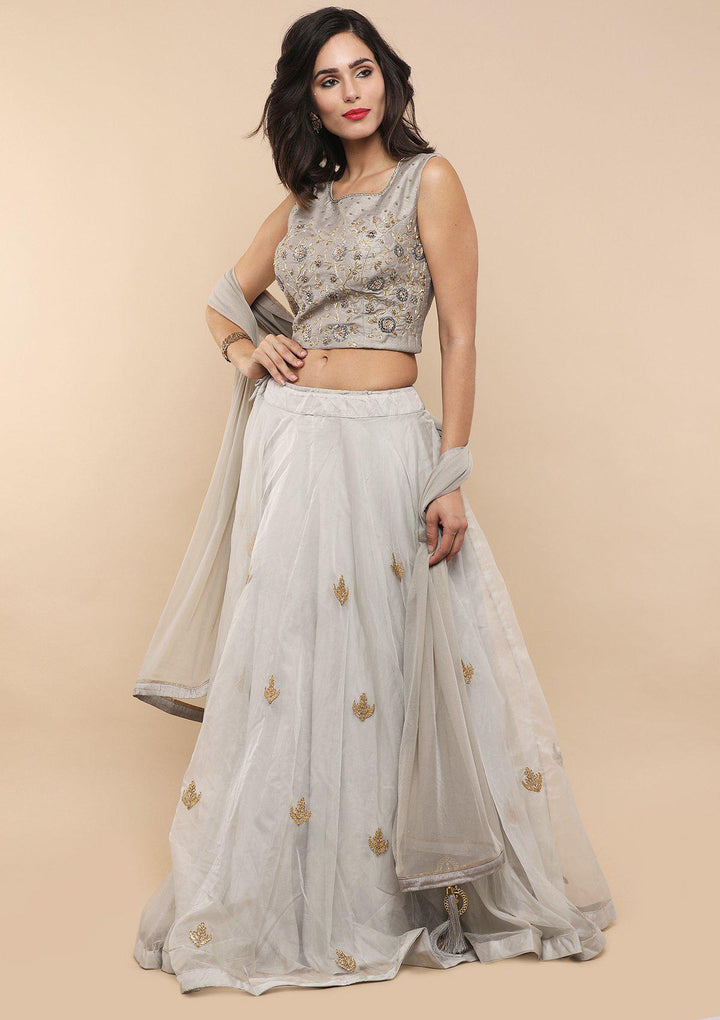 Grey Zardozi Work Net Designer Lehenga-Koskii