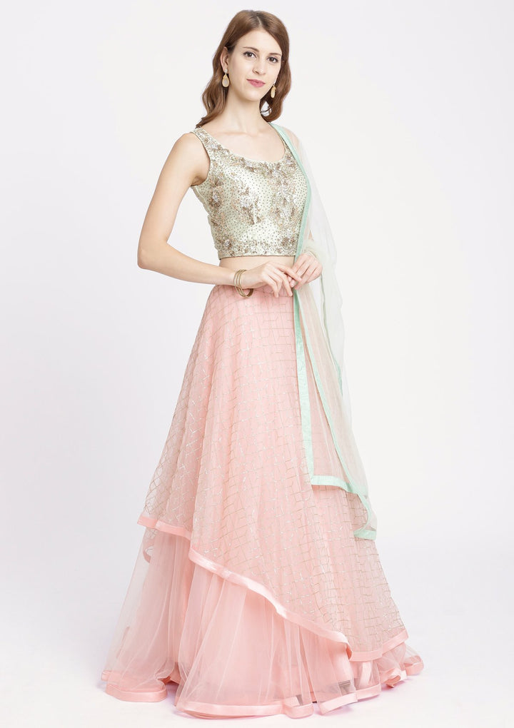 Pink Stonework Net Designer Lehenga-Koskii